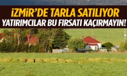 İzmir’de 7.920 metrekarelik tarla ve müştemilatı satılıyor!