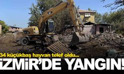 İzmir’de barakada yangın… 34 küçükbaş hayvan telef oldu