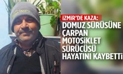 İzmir’de gece yarısı korkunç kaza: Domuz sürüsüne çarpan motosikletli hayatını kaybetti