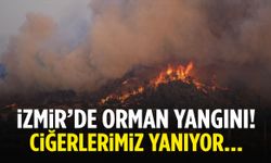 İzmir’de iki farklı bölgede yangın!