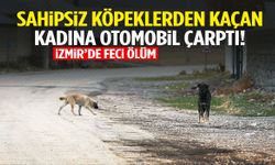 İzmir’de kahreden ölüm: Sahipsiz köpeklerden kaçarken otomobil çarptı