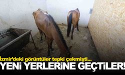 İzmir’deki görüntüler tepki çekmişti… Harekete geçildi!