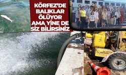 İzmirliler kokudan duramıyor… Şehzadeler Belediyesi kadınları körfeze taşıyor!