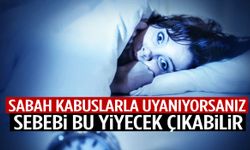 Kabus mu görüyorsunuz? Suçlu o masum sandığınız yiyecek olabilir!