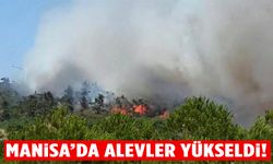 Manisa’da alevler yükseldi!