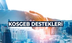 KOSGEB Destekleri: Manisa'da İş Kurmak İsteyenler Dikkat