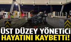 Otoyolda feci kaza: Üst düzey yönetici hayatını kaybetti