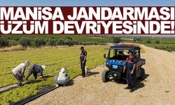 Manisa Ovası’nda üzümleri jandarma koruyor!