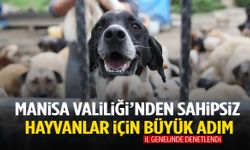Manisa Valiliği’nden sahipsiz hayvanlar için büyük adım!