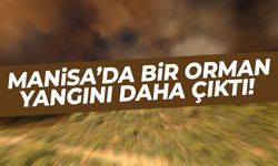 Manisa’da bir orman yangını daha! Yarım saatte...
