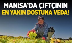 Manisa’da çiftçinin en yakın dostuna veda!