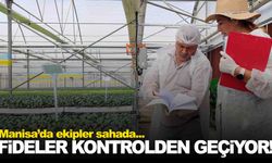 Manisa’da kışlık fidelerin kontrolleri şimdiden başladı!