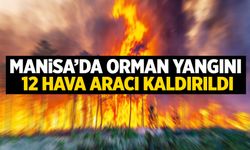 Manisa’da orman yangını çıktı: 12 hava aracı kalktı!