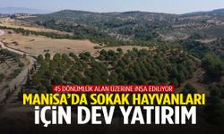 Manisa’da sokak hayvanları için dev yatırım: Projede sona yaklaşıldı…