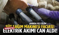 Manisa’da süt sağarken elektrik akımına kapılan adam öldü