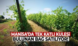 Manisa’da tek katlı kuleli bağ satılıyor!