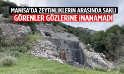 Manisa’da zeytinliklerin arasında saklı… Görenler gözlerine inanamadı!
