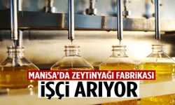 Manisa’da zeytinyağı fabrikası işçi arıyor!
