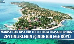 Manisa’dan kısa bir yolculukla ulaşabilirsiniz… Zeytinliklerin içinde bir Ege köyü!