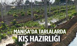 Manisalı çiftçiler kışlık sebzeler için tarlaya indi!