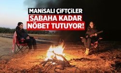 Manisalı çiftçiler sabaha kadar nöbet tutmaya başladı!