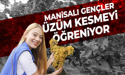 Manisalı gençler üzüm kesmeyi öğreniyor