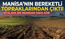Manisa'nın bereketli topraklarından çıktı! Ortalama bir insandan daha ağır