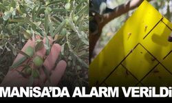 Manisa’nın ilçesinde alarm… 5 Ağustos’a kadar süre verildi!