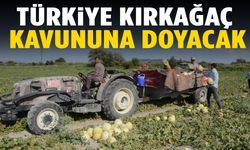 Türkiye’nin kavun ambarı Kırkağaç’ta hasat başladı!