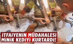 Şehzadeler’de depo yangınında minik kedi hayata döndü