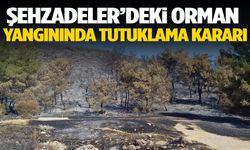 Şehzadeler’deki orman yangınının faili tutuklandı