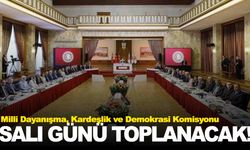 Komisyonun üçüncü toplantı tarihi belirlendi