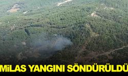 Muğla Milas’taki orman yangını kontrol altına alındı