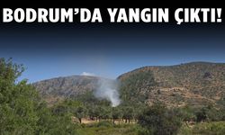 Bodrum'da yangın alarmı!