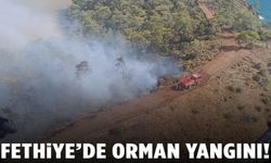 Fethiye’de orman yangını! Müdahale sürüyor…