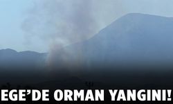 Muğla’da makilik yangını ormana sıçradı