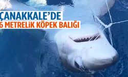 Oltaya takılanı görünce şoke oldular… Tam 6 metre uzunluğunda!