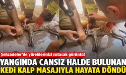 Yangında cansız halde bulunan kedi kalp masajıyla hayata döndü