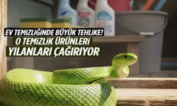 Sakın bu temizlik malzemelerini kullanmayın! Yılanlar anında geliyor…