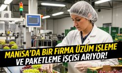 Salihli’de üzüm işleme ve paketleme işçisi aranıyor!