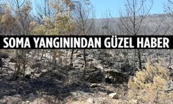 Soma yangınından güzel haber!