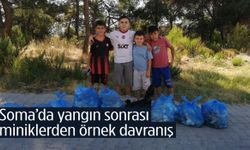 Soma’da minikler yangın sonrası ormanı temizledi!