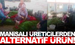 Kuraklık baş gösterince Manisalı üretici yeni çözüm yolu buldu!