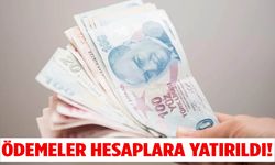 116 milyonluk destek ödemesi başladı!