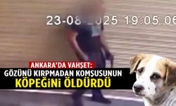 Tartıştığı komşusunun köpeğini silahla öldürdü!