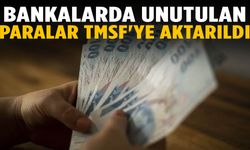 Bankalarda unutulan paralar TMSF'ye aktarıldı
