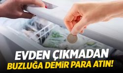 Tatile giden yapsın! Buzluğa madeni para atmak yetiyor