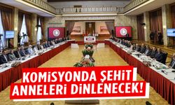 Komisyonun 4. toplantısında şehit anneleri dinlenecek!