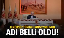 Terörsüz Türkiye komisyonunun adı belli oldu!