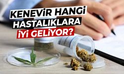 Tıbbi kenevir satışa çıkıyor! Peki, Kenevir hangi hastalıklara iyi geliyor?